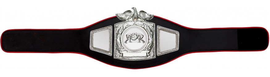 PROEAGLE GRAPPLING CHAMPIONSHIP BELT - PROEAGLE/S/GRAPS - AVAILABLE IN 6+ COLOURS